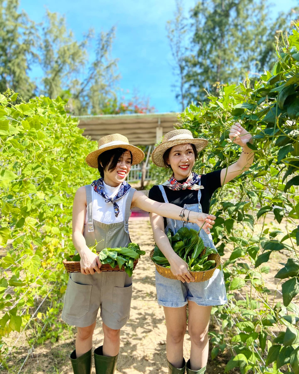 Du khách tham quan vườn rau an toàn tại Carmelina Beach Resort. 
