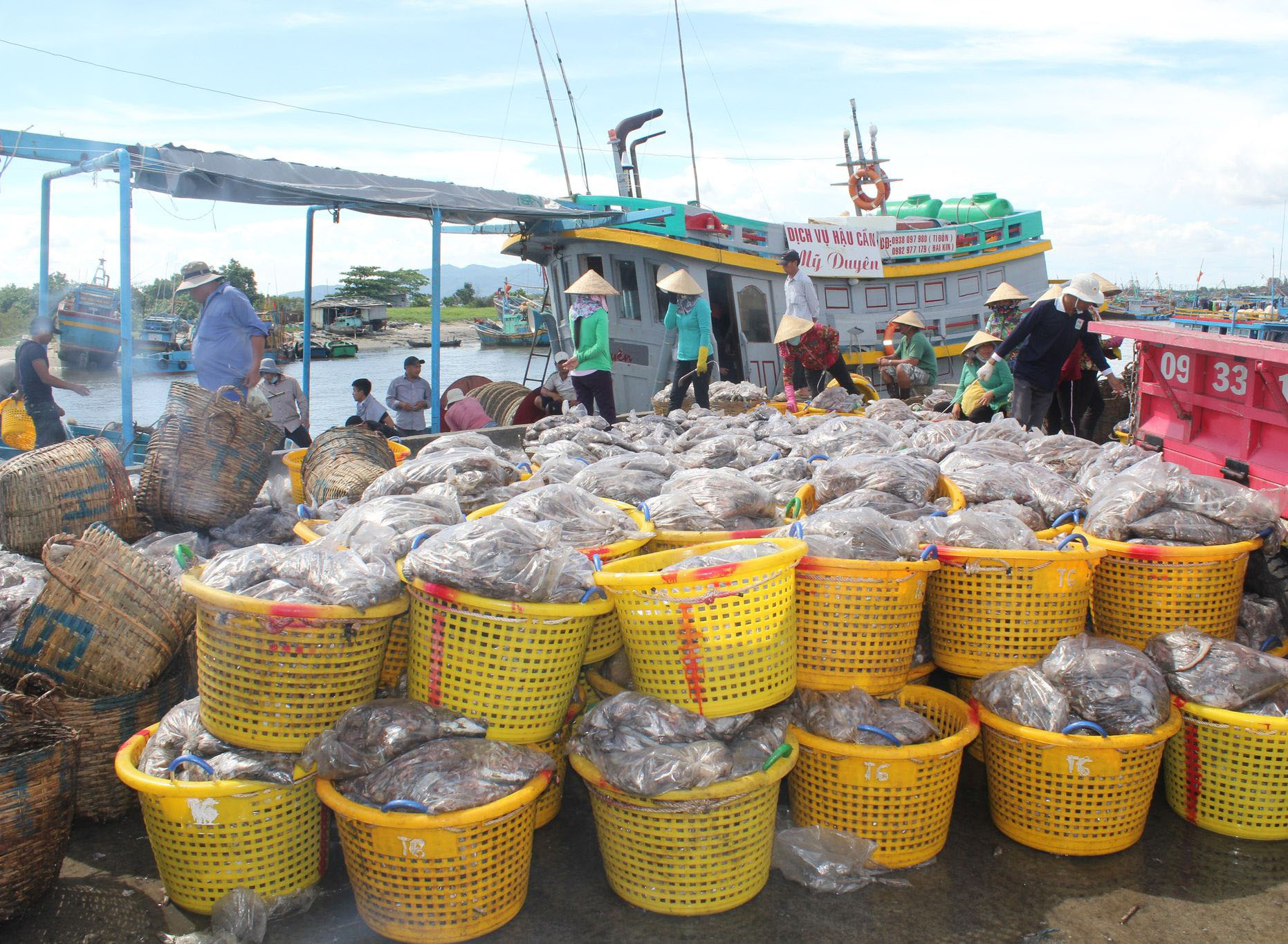 Thành quả sau những chuyến biển dài ngày.