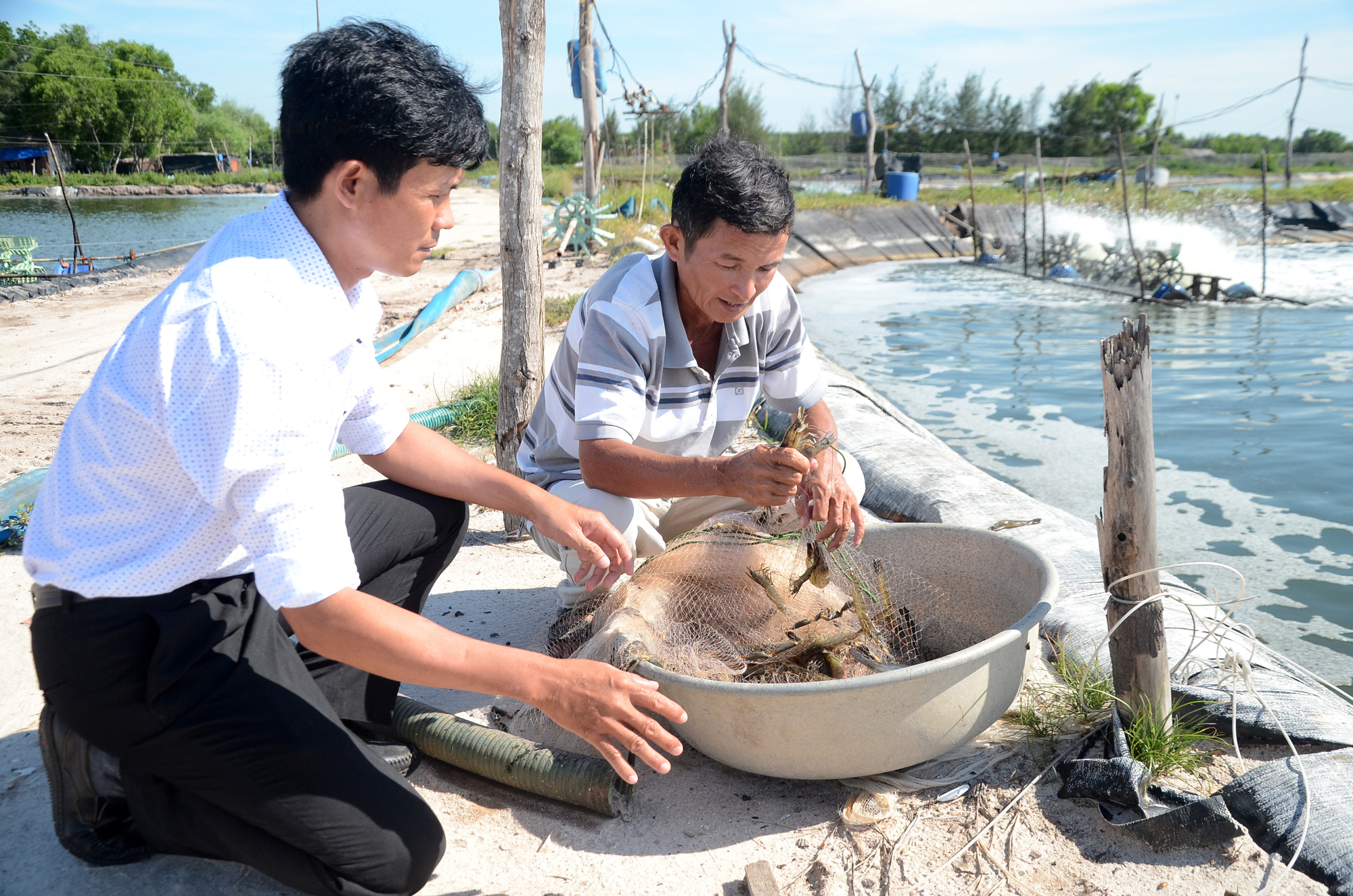 Nuôi tôm sú tại hộ ông Lê Trọng Nghĩa (ấp An Hải, xã Lộc An, huyện Đất Đỏ). Ảnh: Đông Hiếu