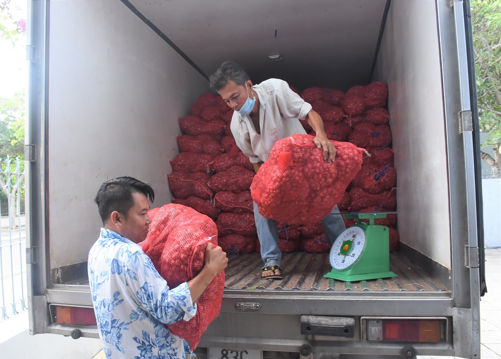 Hành tím Sóc Trăng được đơn vị vận chuyển giao cho Hội Nông dân tỉnh đưa đi tiêu thụ. Ảnh: Phúc Hiếu