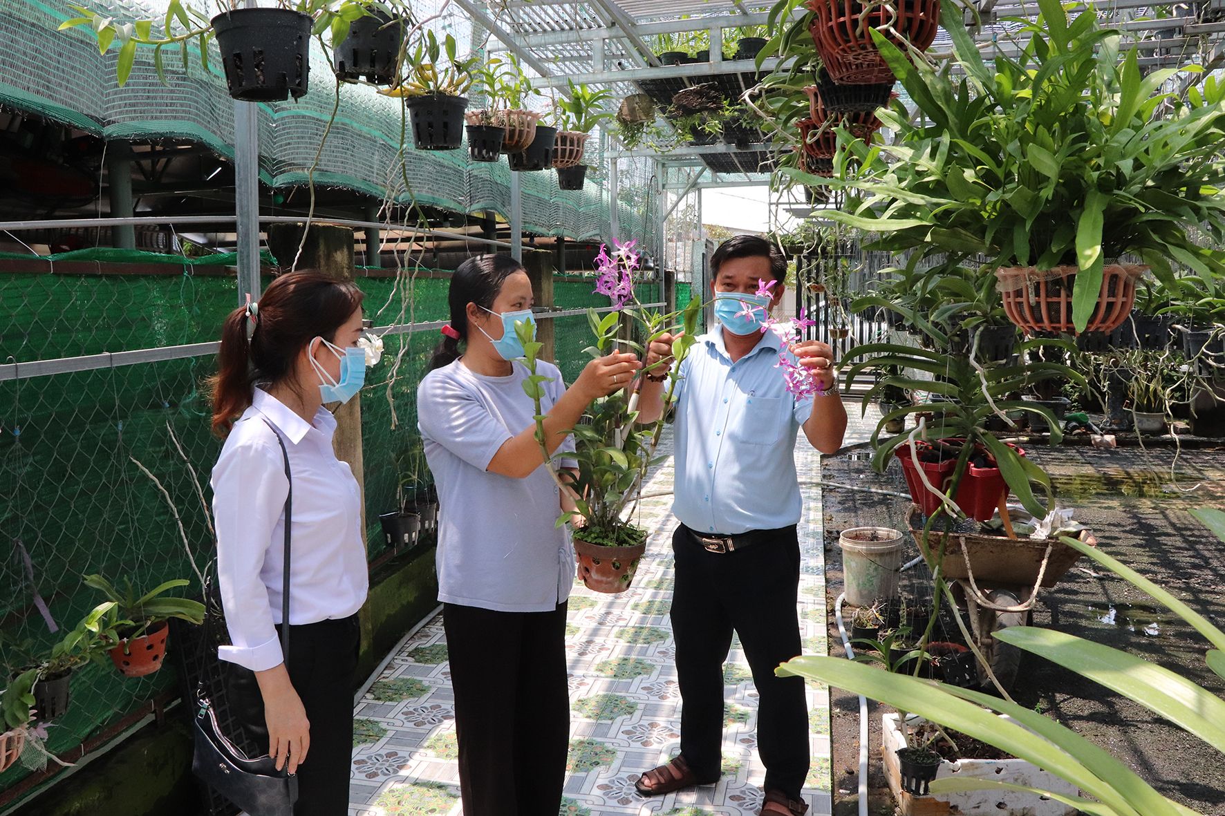 Bà Trần Thị Thanh Tâm (bìa trái), Phó Giám đốc Ngân hàng Chính sách xã hội huyện Long Điền thăm mô hình trồng hoa lan của gia đình bà Phương Ngọc Oanh (ấp An Hòa, xã An Nhứt).