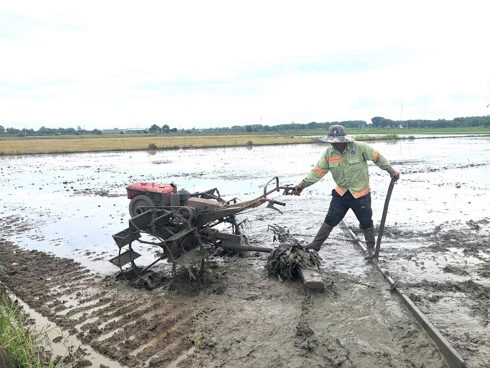 Nông dân huyện Xuyên Mộc chuẩn bị đất xuống giống vụ Hè thu.