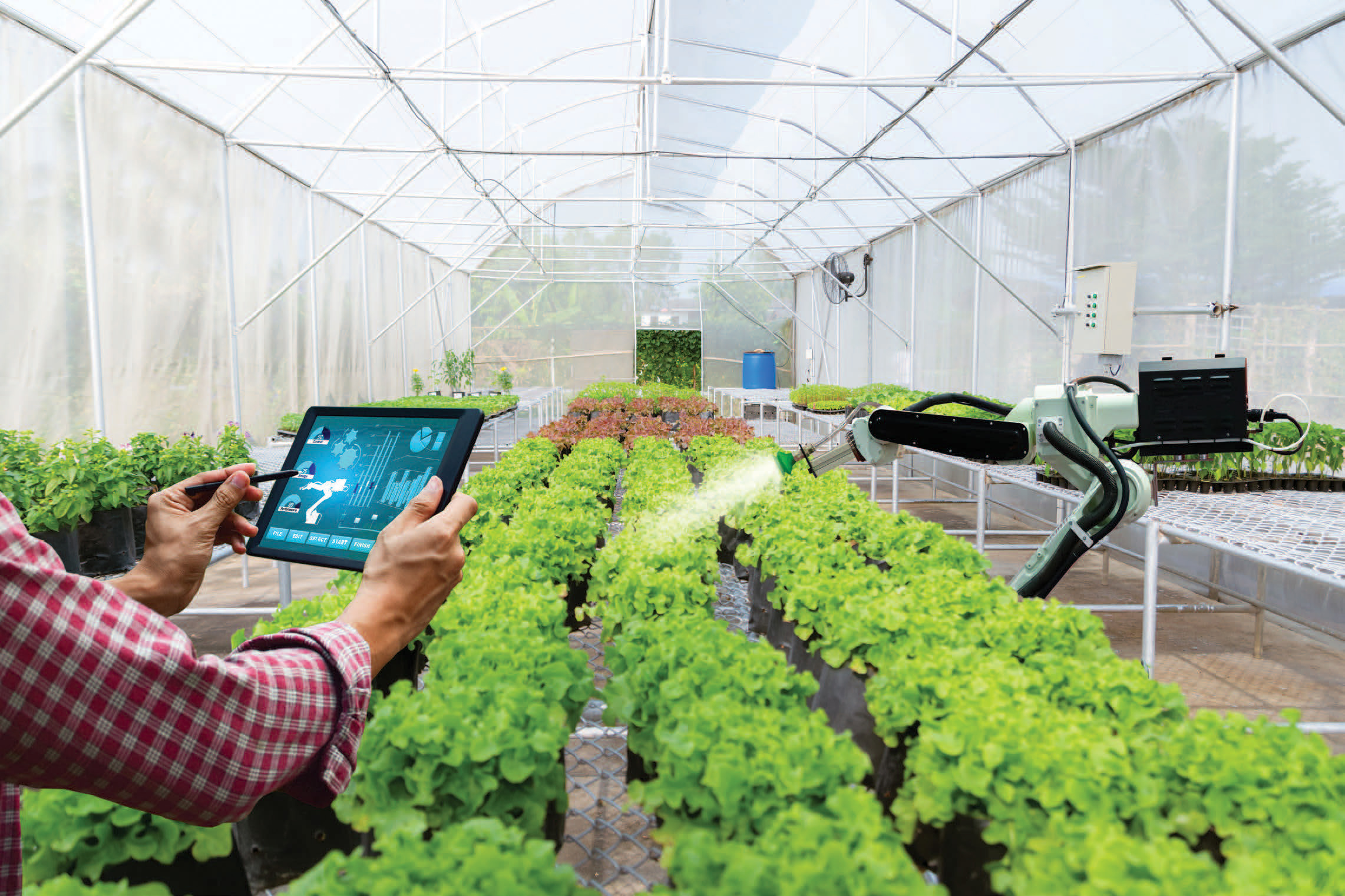 Công ty TNHH 4K farm đang sử dụng các ứng dụng trên điện thoại thông minh để kiểm tra quá trình chăm sóc đến tiêu thụ sản phẩm. Ảnh: QUANG VŨ