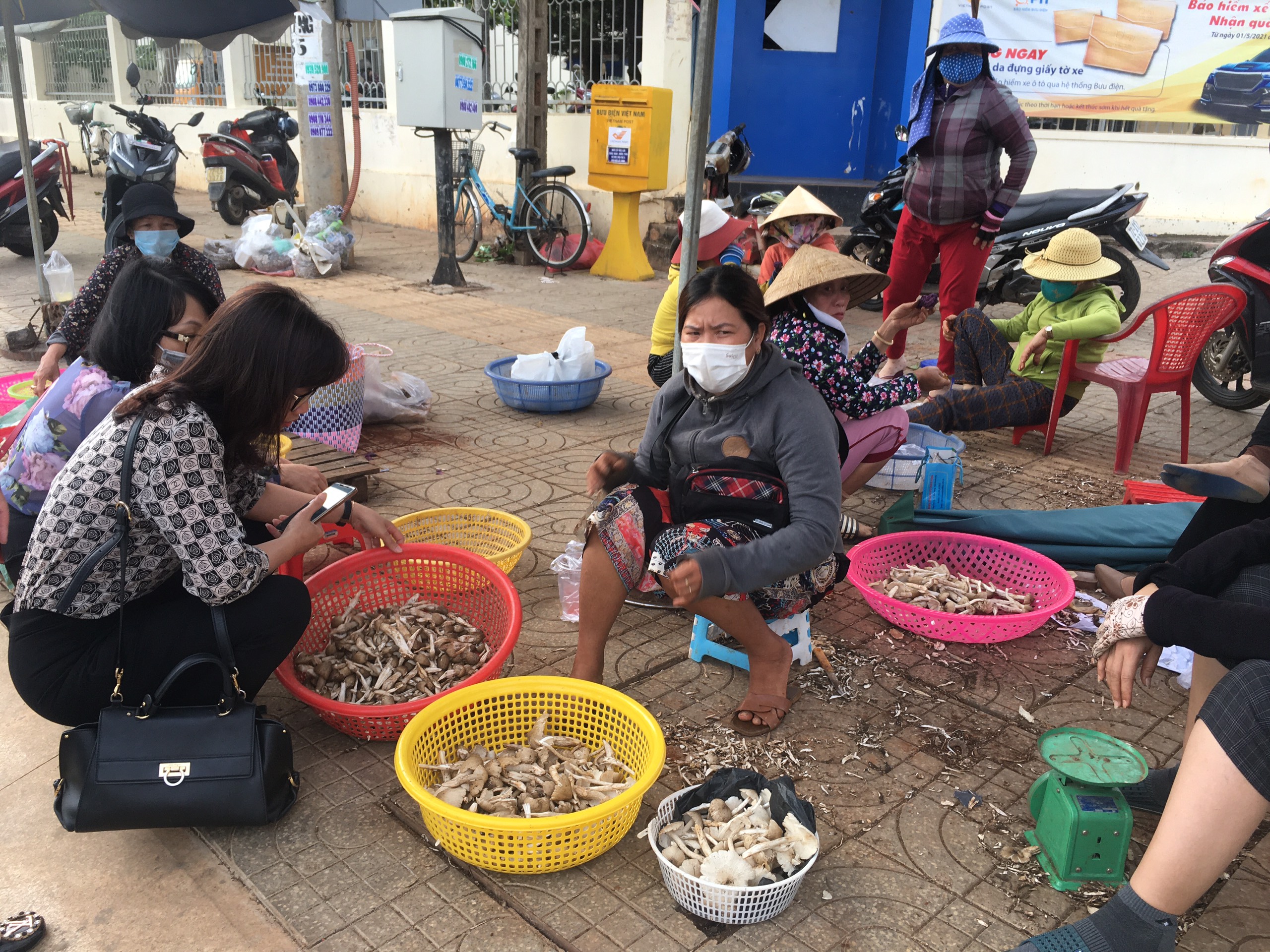 Khách mua nấm mối trước cổng Bưu điện Ngãi Giao, huyện Châu Đức.