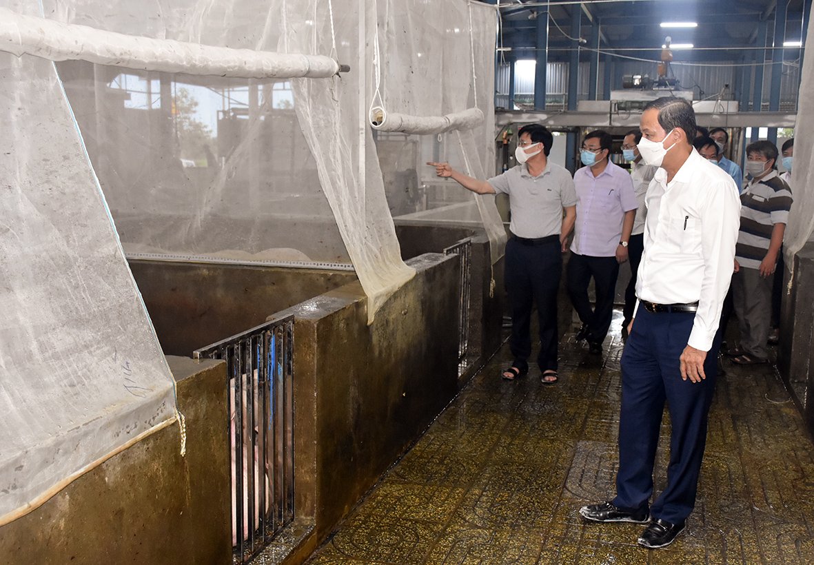 Ông Nguyễn Văn Thọ, Chủ tịch UBND tỉnh khảo sát tại cơ sở giết mổ gia súc, gia cầm tập trung tại xã Long Phước, TP. Bà Rịa.