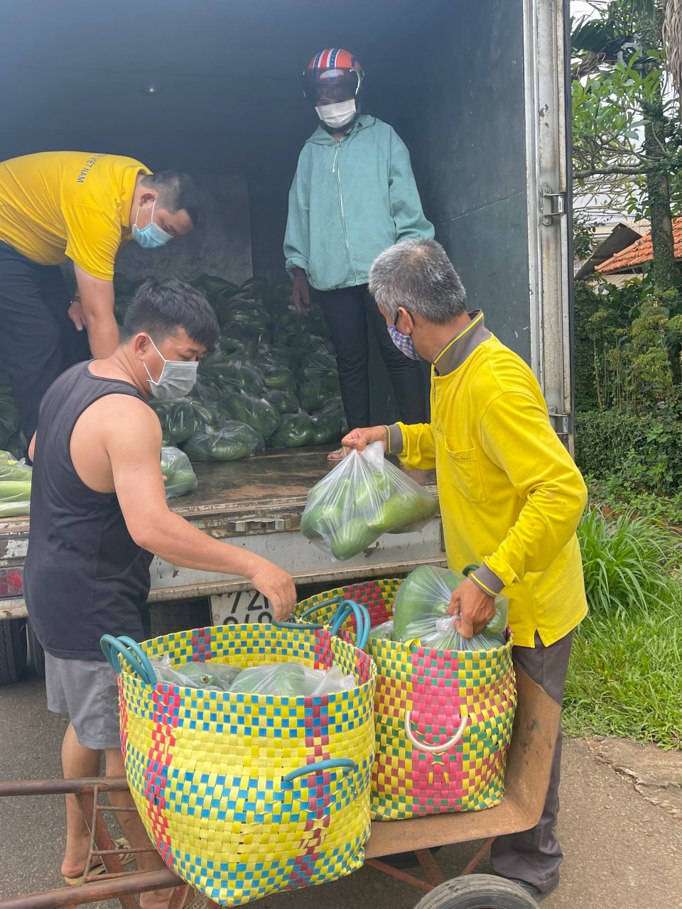 Nhân viên Bưu điện tỉnh thu mua bơ Thái Dương đưa về các bưu cục phục vụ người dân.