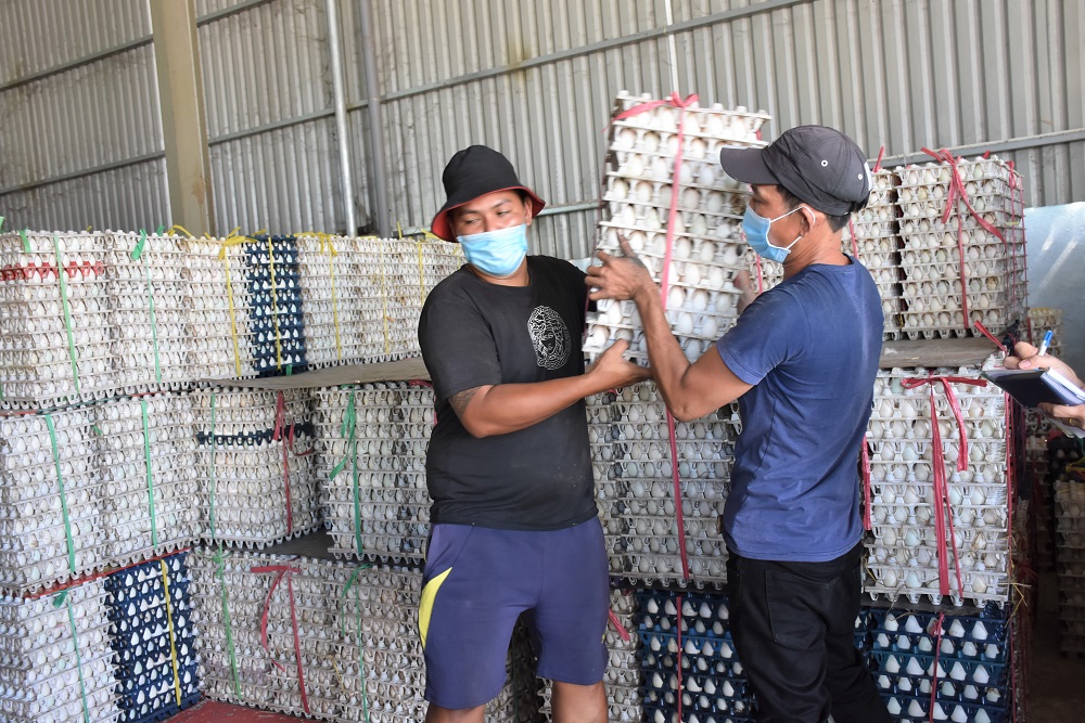 Trên địa bàn tỉnh hiện đã có 15 đầu mối cung cấp sản phẩm nông thủy sản. Trong ảnh: Sản phẩm trứng vịt  của HTX NN- DV Tam Phước (huyện Long Điền).
