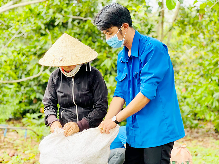 Sự có mặt kịp thời của các bạn trẻ đã giúp nhiều nông dân vượt qua khó khăn.