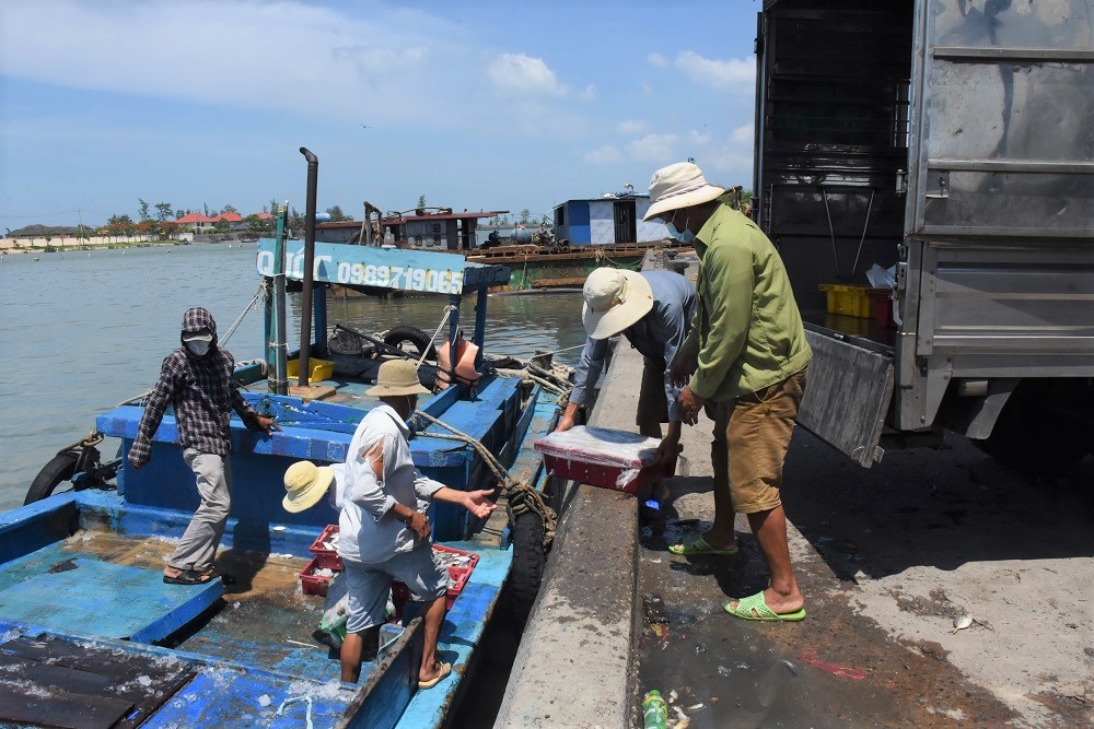 Vận chuyển hải sản sau cập bến tại Cảng cá  Lộc An (huyện Đất Đỏ).