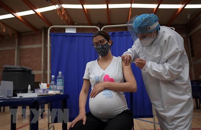 Một phụ nữ mang thai được tiêm vaccine ngừa COVID-19.