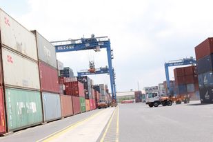 Tại cảng biển hiện còn tồn đọng 270 container trên 90 ngày.