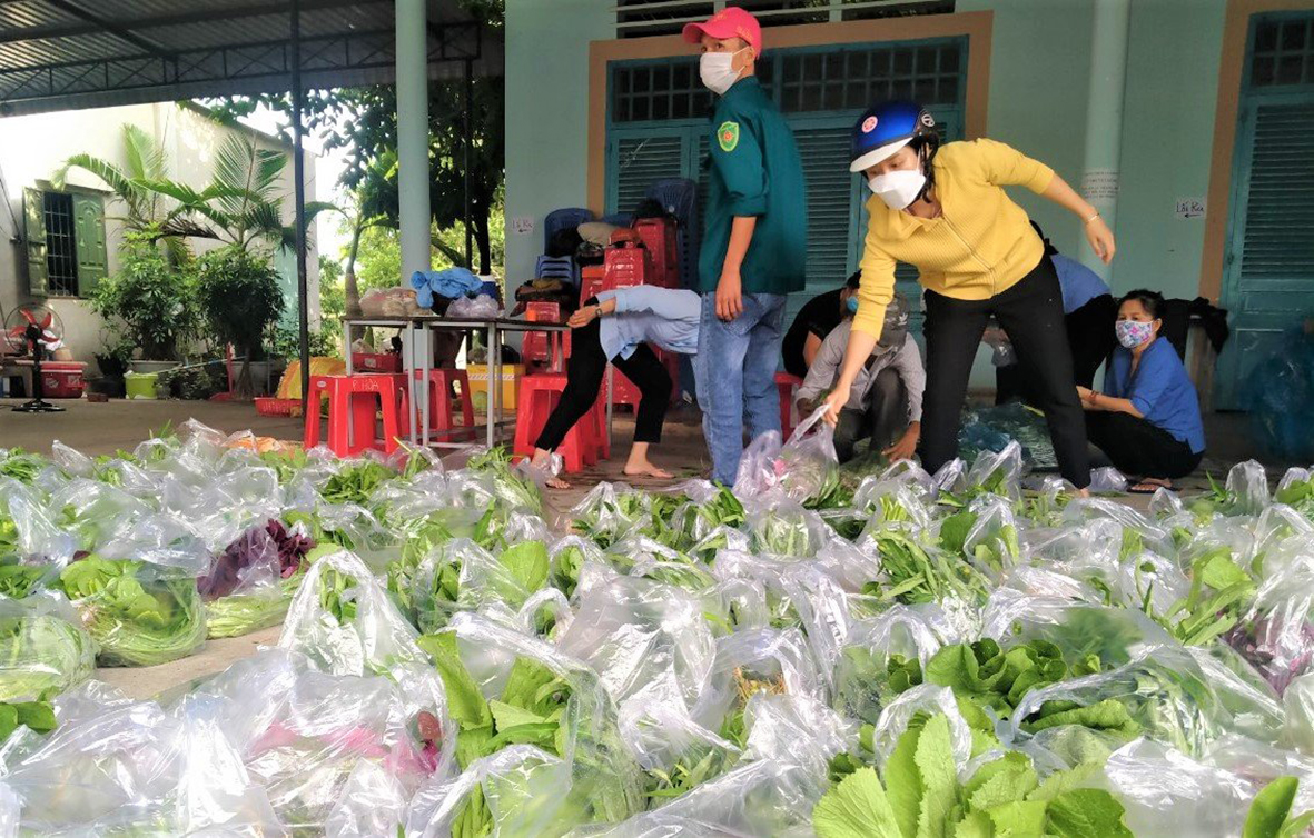 Rau được chia thành từng phần để mang tặng bà con trong khu phố Phước Hòa (TT.Phước Bửu, huyện Xuyên Mộc).