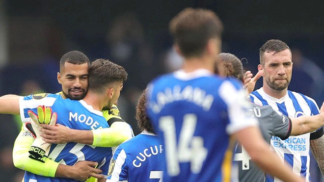 Brighton đang là hiện tượng của Premier League mùa này.
