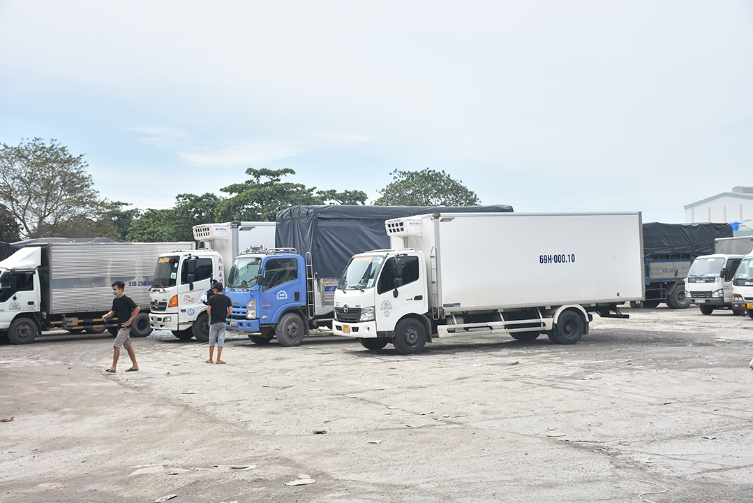 Xe vào điểm tập trung khai báo y tế tại chốt kiểm soát y tế Quốc lộ 51, TX. Phú Mỹ.