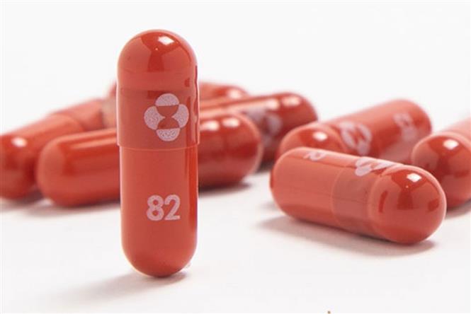 Thuốc molnupiravir do công ty Merck & Co của Mỹ bào chế.