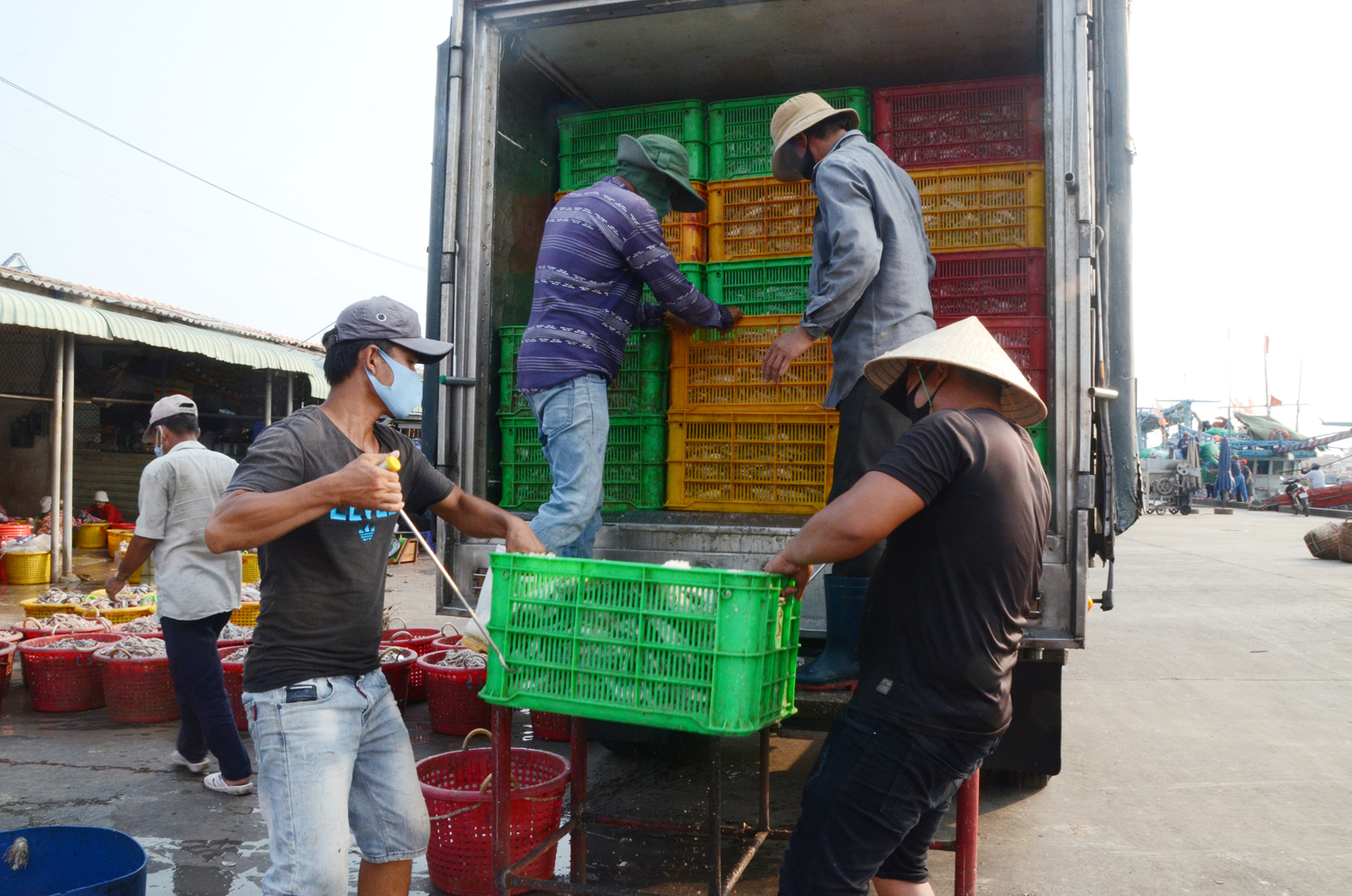  Bốc dỡ cá tại Cảng cá Phước Tỉnh, huyện Long Điền.