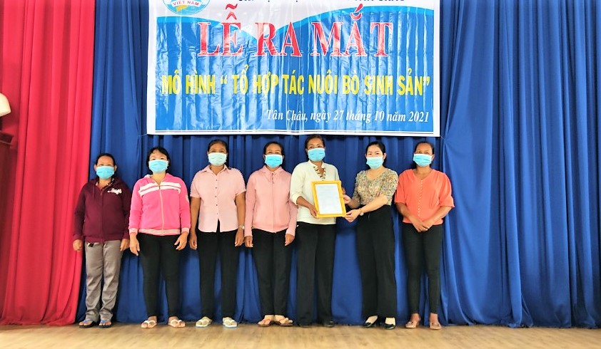 Các thành viên trong Tổ hợp tác “Nuôi bò sinh sản” thôn Tân Châu (xã Bàu Chinh, huyện Châu Đức) nhận quyết định tại lễ ra mắt.