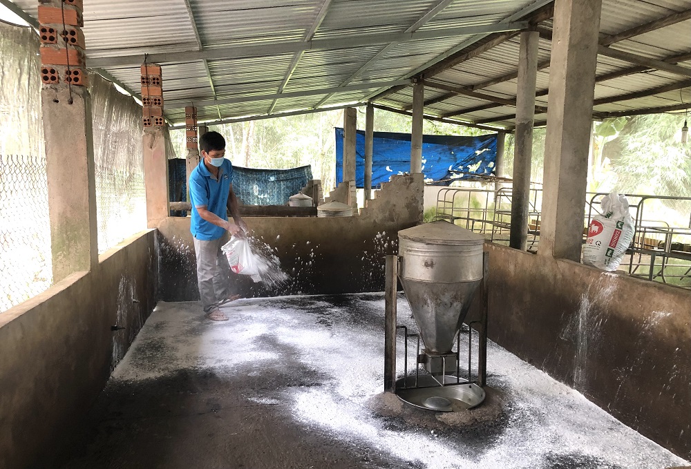 Ông Phan Hữu Chí (ấp 4B, xã Hòa Hưng, huyện Xuyên Mộc) khử trùng chuồng heo bằng vội bột sau khi đàn heo của gia đình bị bệnh dịch tả  heo Châu Phi buộc phải tiêu hủy.
