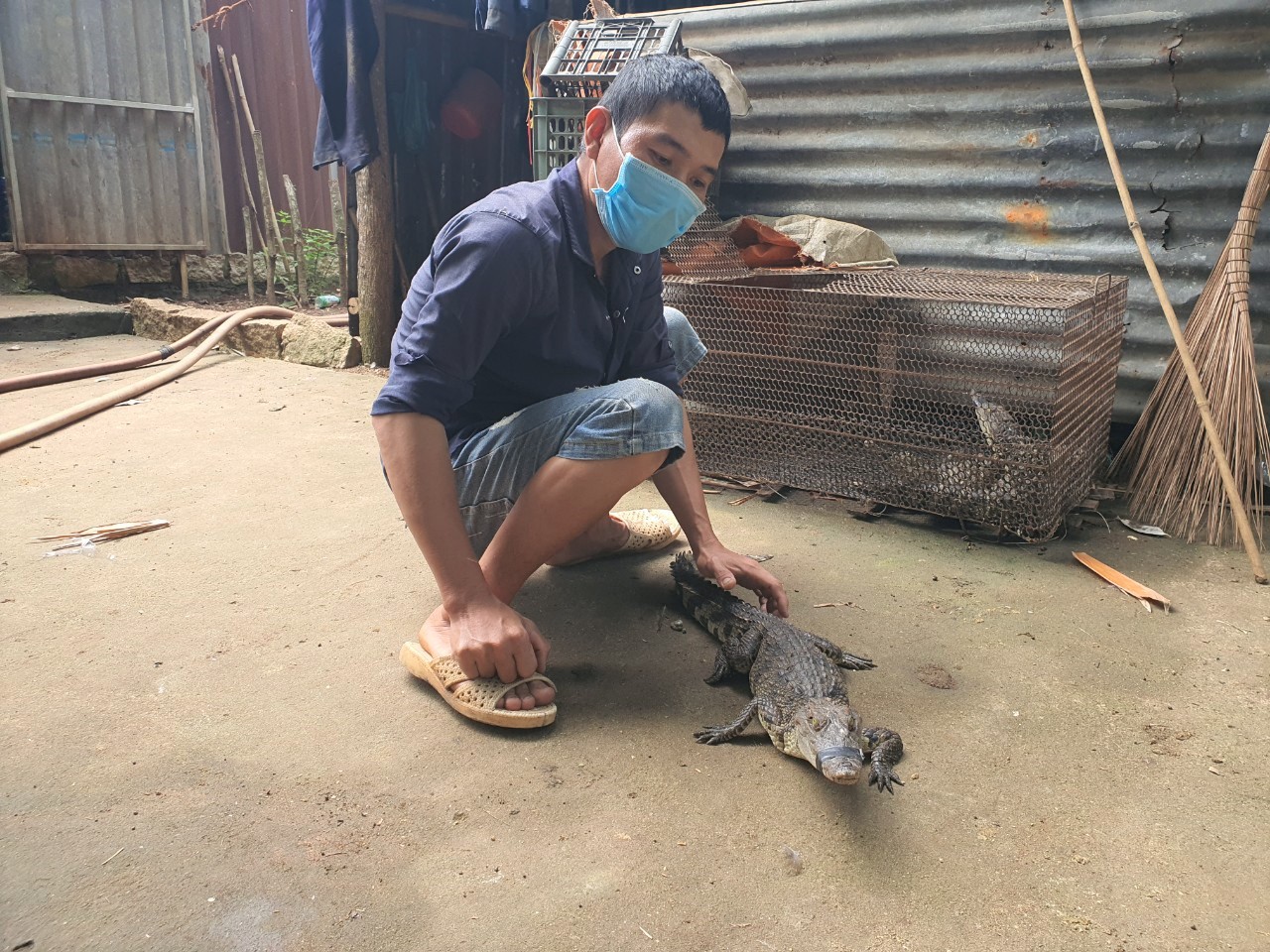 Một người dân xã Châu Pha, TX. Phú Mỹ bắt được cá sấu ở con kênh trong khu dân sinh.