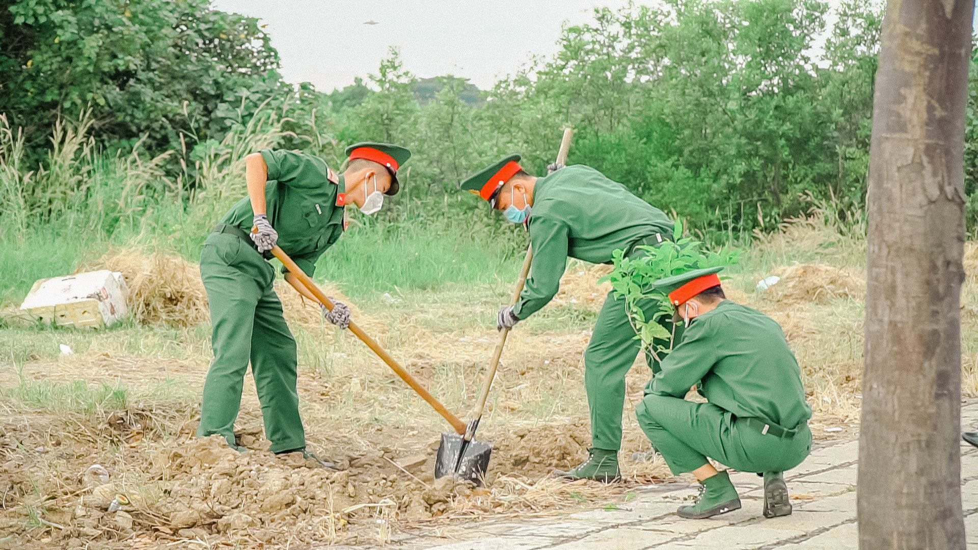 ĐVTN khối LLVT trồng hoa hoàng yến dọc tuyến đường Trường Chinh.