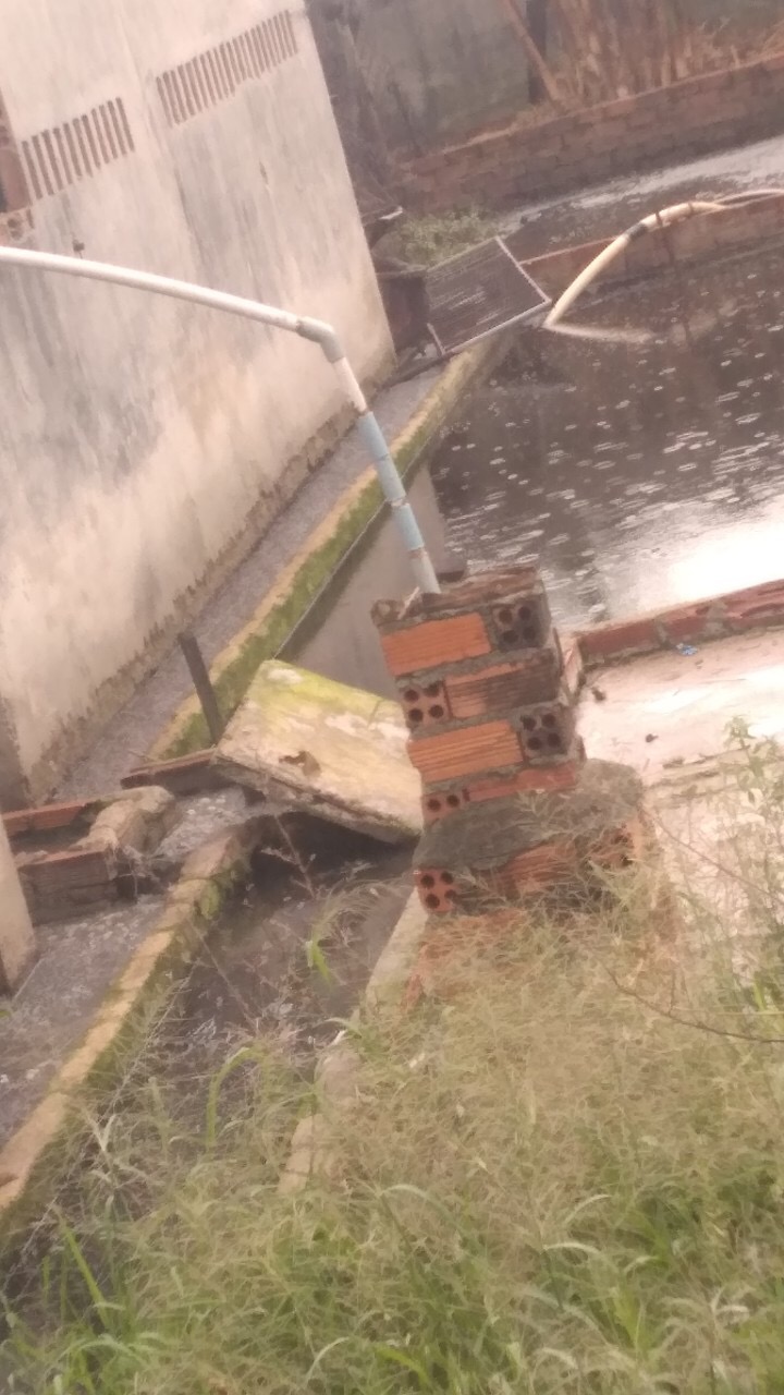 Nước thải từ hoạt động chăn nuôi của gia đình ông Hồ Văn Lực gây ô nhiễm môi trường.