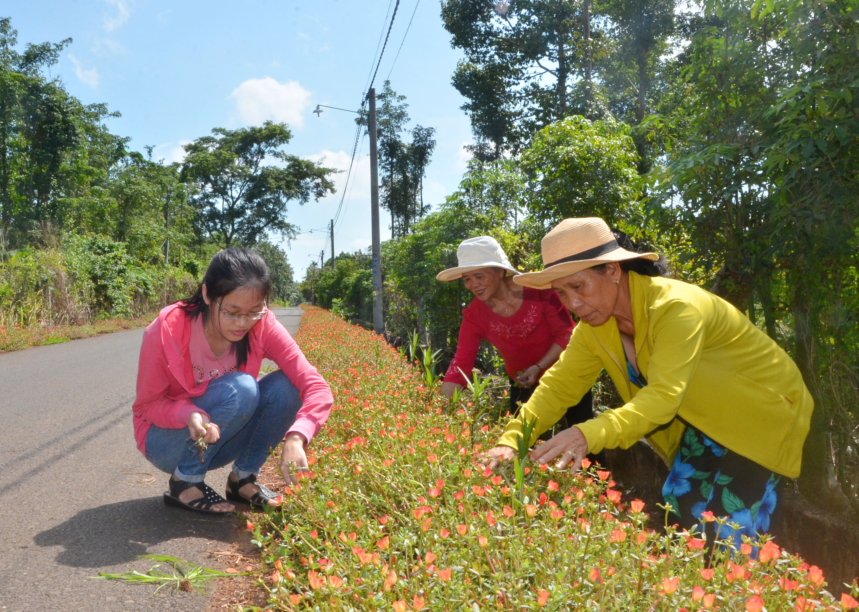 Thực hiện mô hình “Tuyến đường hoa” của Hội LHPN xã Kim Long, hội viên chi hội phụ nữ thôn Quảng Long trồng và chăm sóc đường hoa, tạo cảnh quan sạch, đẹp. Ảnh: CẨM NHUNG