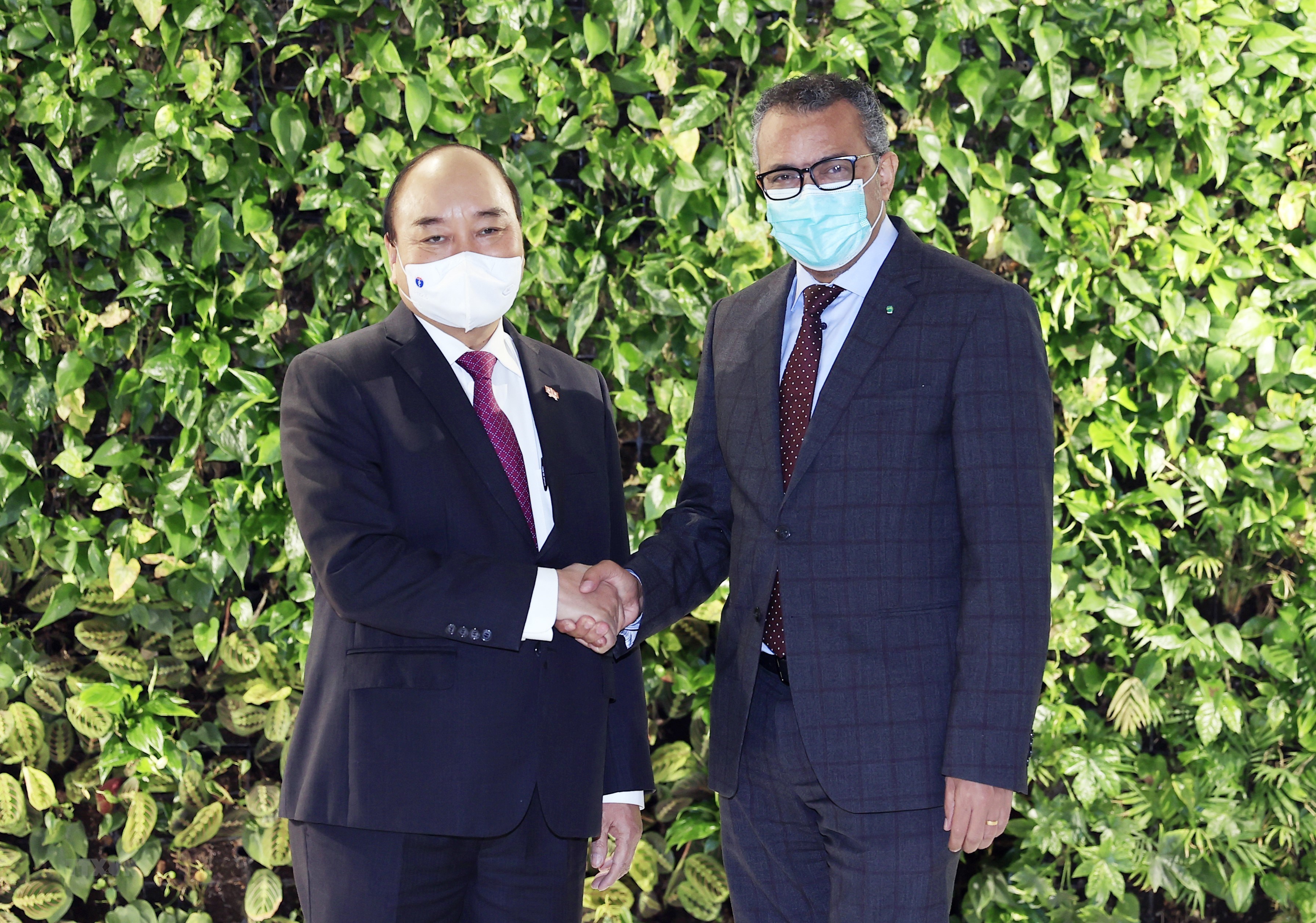 Chủ tịch nước Nguyễn Xuân Phúc gặp Tổng Giám đốc Tổ chức Y tế Thế giới Tedros Adhanom Ghebreyesus.