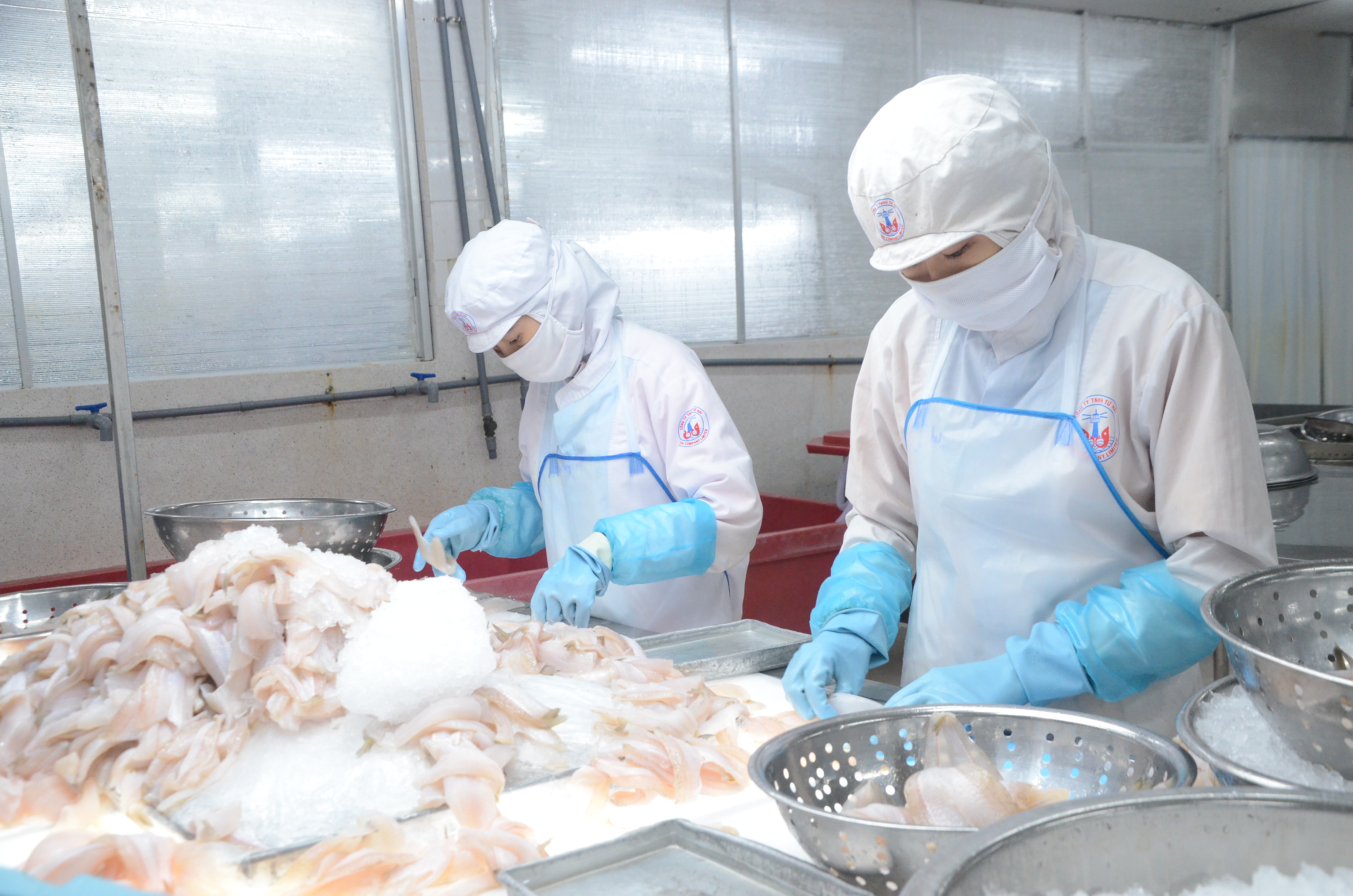 Các tiêu chí về quy tắc xuất xứ trong Hiệp định RCEP được nới lỏng hơn, thủy sản được đánh giá là một trong những mặt hàng được hưởng lợi lớn. Trong ảnh: Chế biến thủy sản xuất khẩu tại Công ty TNHH Tứ Hải, TP. Vũng Tàu.