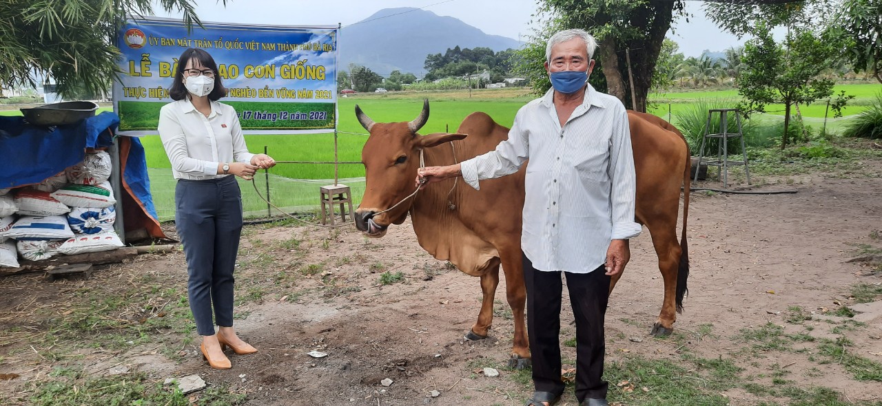Bà Lương Thị Kiều Trang, Chủ tịch UBMTTQVN TP. Bà Rịa trao bò tới hộ ông Đặng Văn Hùng, xã Hòa Long.