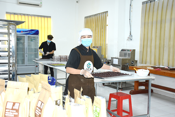Sản xuất chocolate tại Công ty TNHH Thương mại - Dịch vụ sản xuất  ca cao Thành Đạt (xã Xà Bang, huyện Châu Đức).