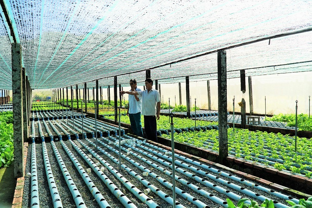 Công nghiệp công nghệ cao được xác định là 1 trong 4 trụ cột kinh tế phát triển của tỉnh BR-VT. Trong ảnh: Mô hình trồng rau công nghệ cao của ông Phạm Tấn Nghiêm (TT. Long Hải, huyện Long Điền).