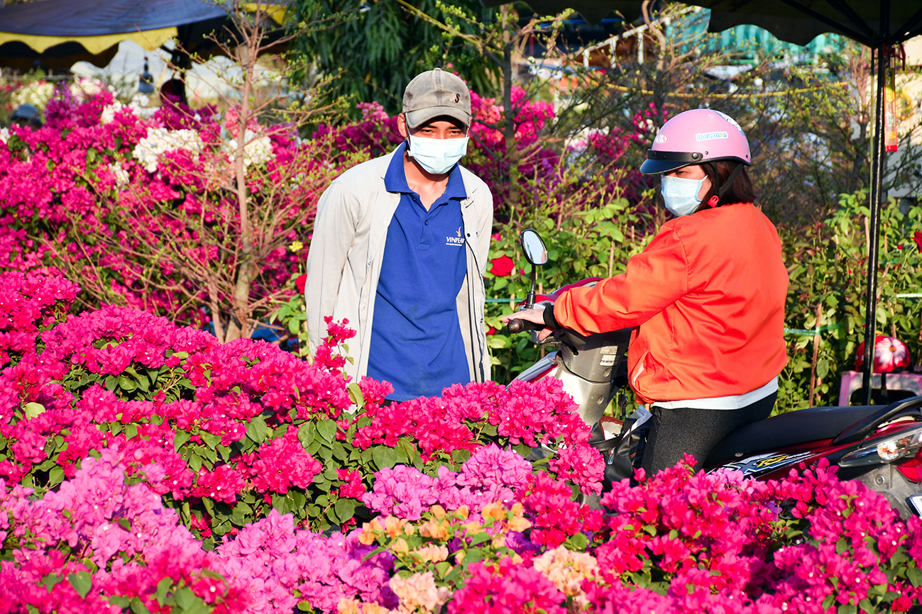 Năm nay, hoa giấy đủ màu sắc sặc sỡ được khá nhiều người dân lựa chọn mua để chưng Tết.