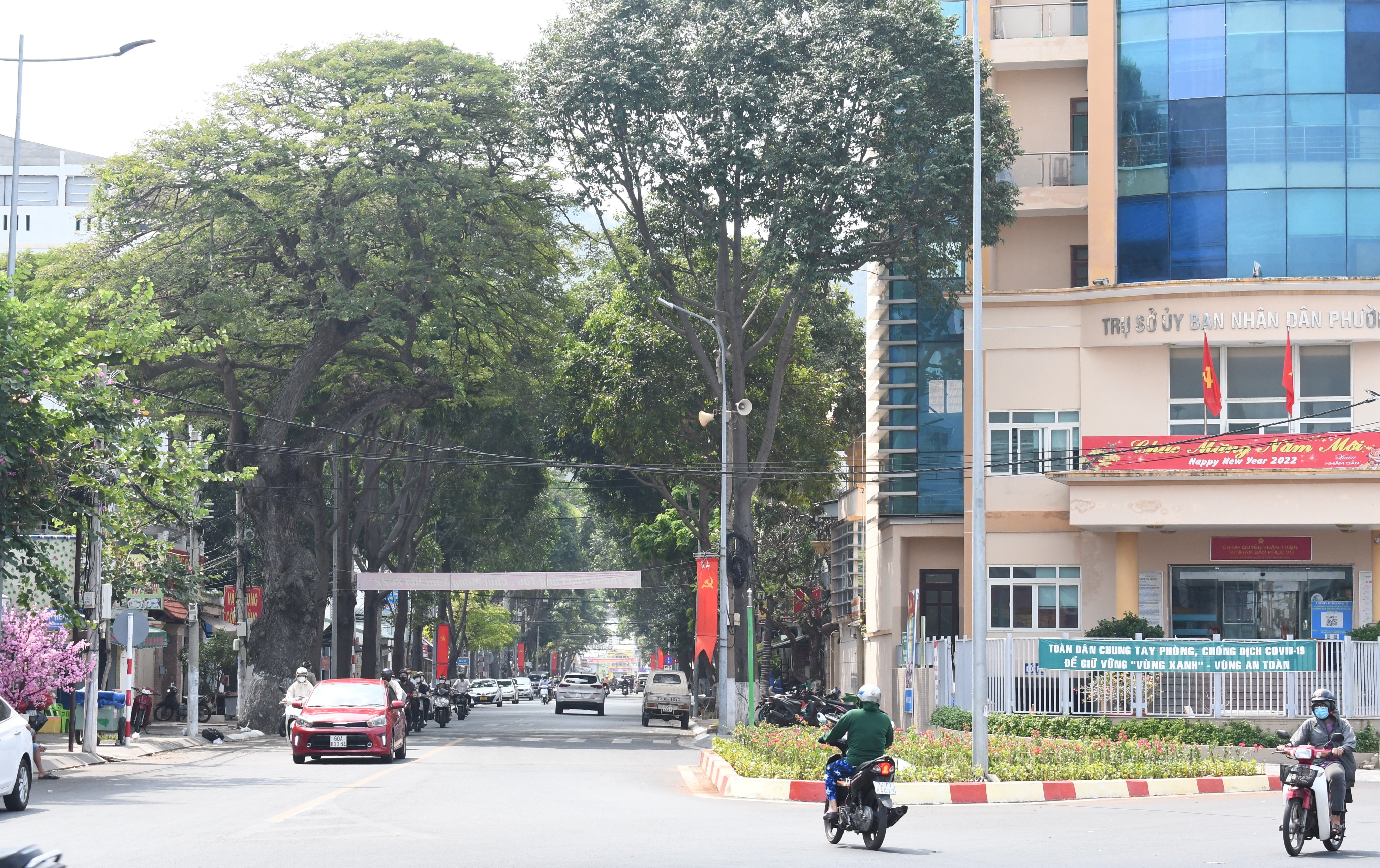 Tuyến đường Nguyễn Trường Tộ, phường 3, TP. Vũng Tàu trở nên đẹp hơn bởi các loại hoa rực rỡ màu sắc được trồng mới.