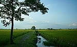 Dấn thân & an lành!