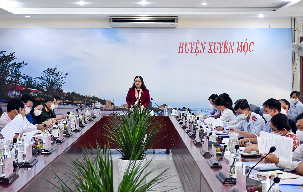 Bà Nguyễn Thị Yến, Phó Bí thư Thường trực Tỉnh ủy, Trưởng Đoàn ĐBQH tỉnh phát biểu tại buổi giám sát.