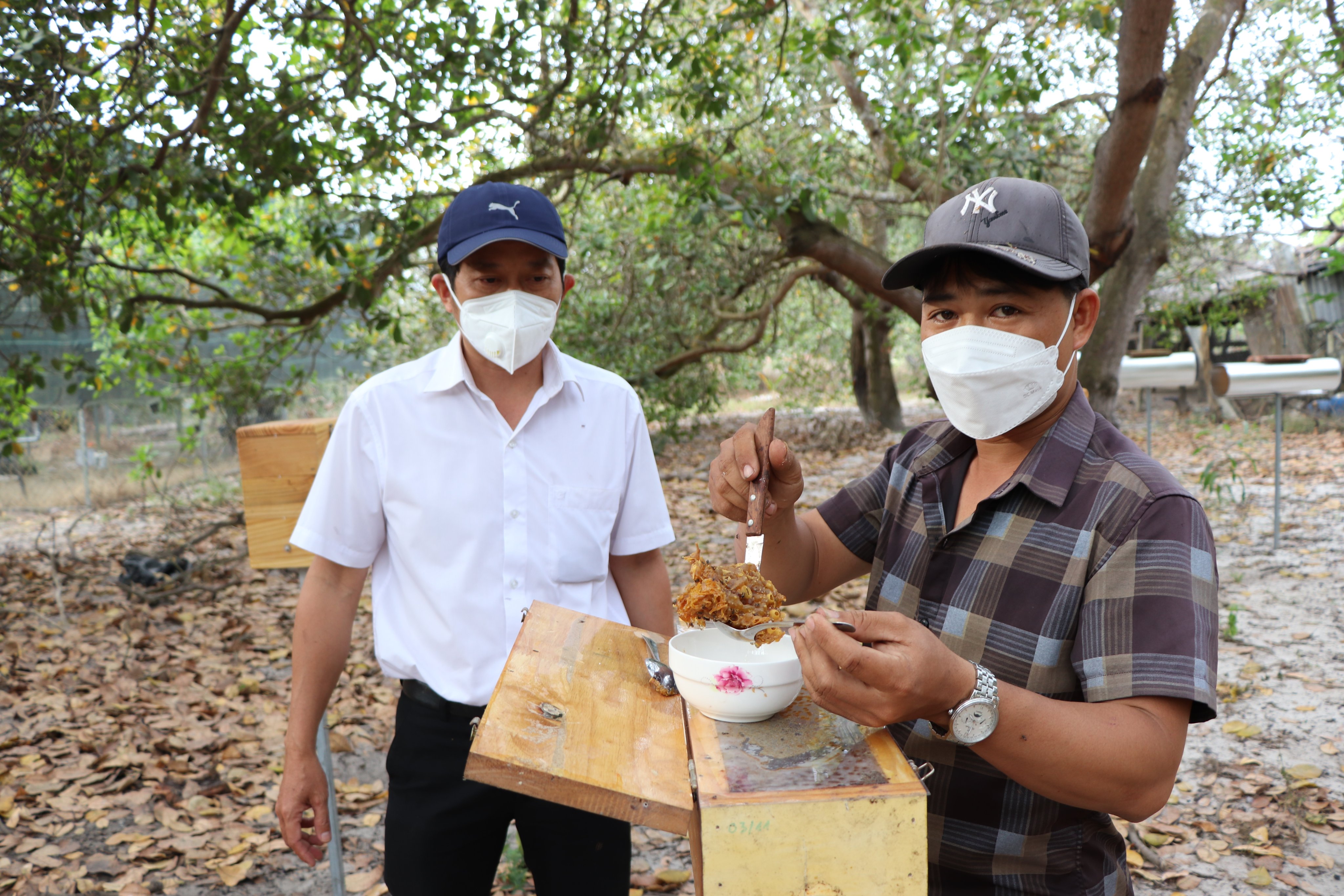 Mô hình nuôi ong dú tại xã Bình Châu, huyện Xuyên Mộc là một trong 16 mô hình sản xuất nông nghiệp có triển vọng gắn với du lịch. Trong ảnh: Ông Trần Văn Mảng (bên trái), Phó Chủ tịch Hội Nông dân tỉnh tham quan trại nuôi ong dú của nông dân Trần Đức Văn.