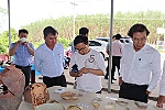 Cấp bách bảo vệ, xếp hạng di chỉ Vòng thành Đá Trắng