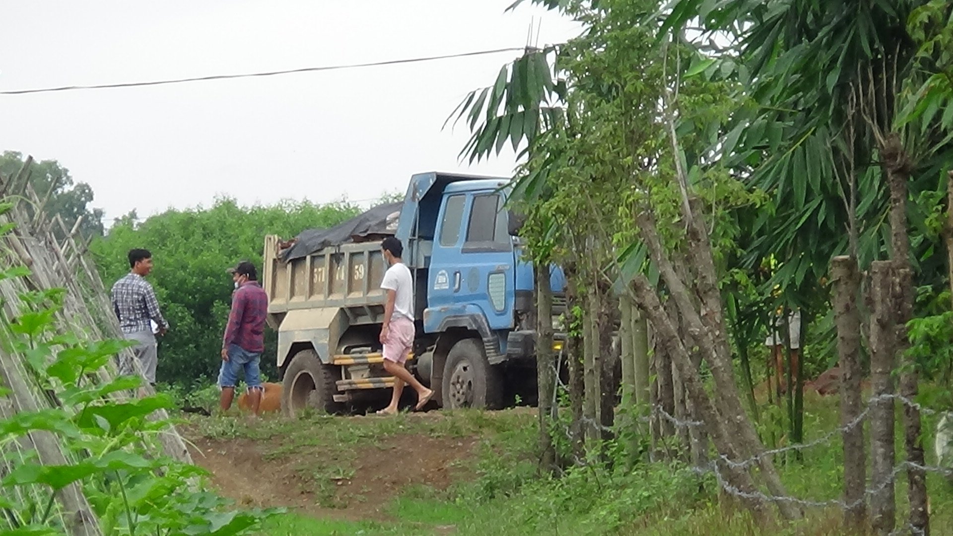 Xe ben đổ đất đá san lấp khu đất trồng lúa ở xã Bình Trung (huyện Châu Đức).