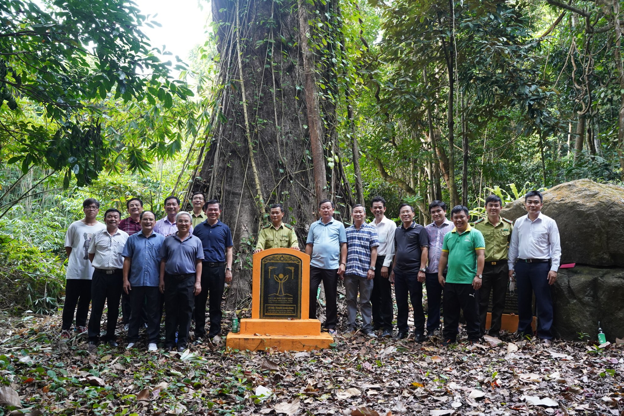 Đoàn công tác của tỉnh Đồng nai tham quan cây di sản tại Vườn Quốc gia Côn Đảo 