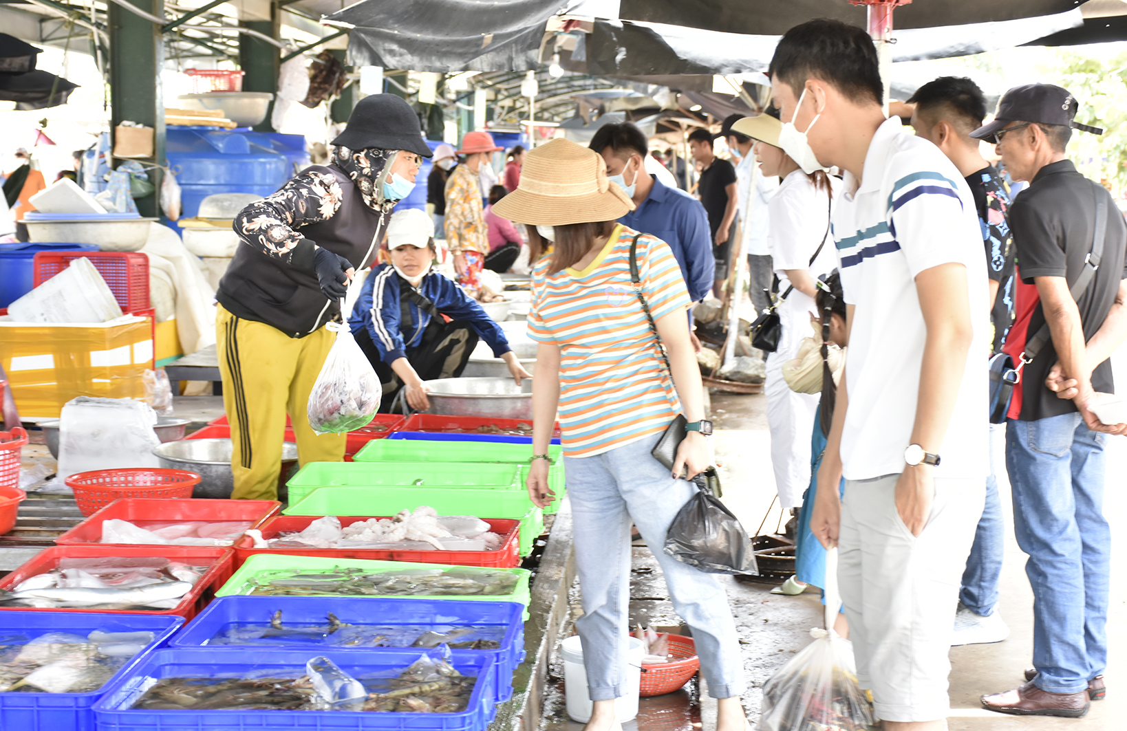 Các quầy hải sản tại khu vực ngã tư Hồ Tràm đông khách tham quan, mua sắm.