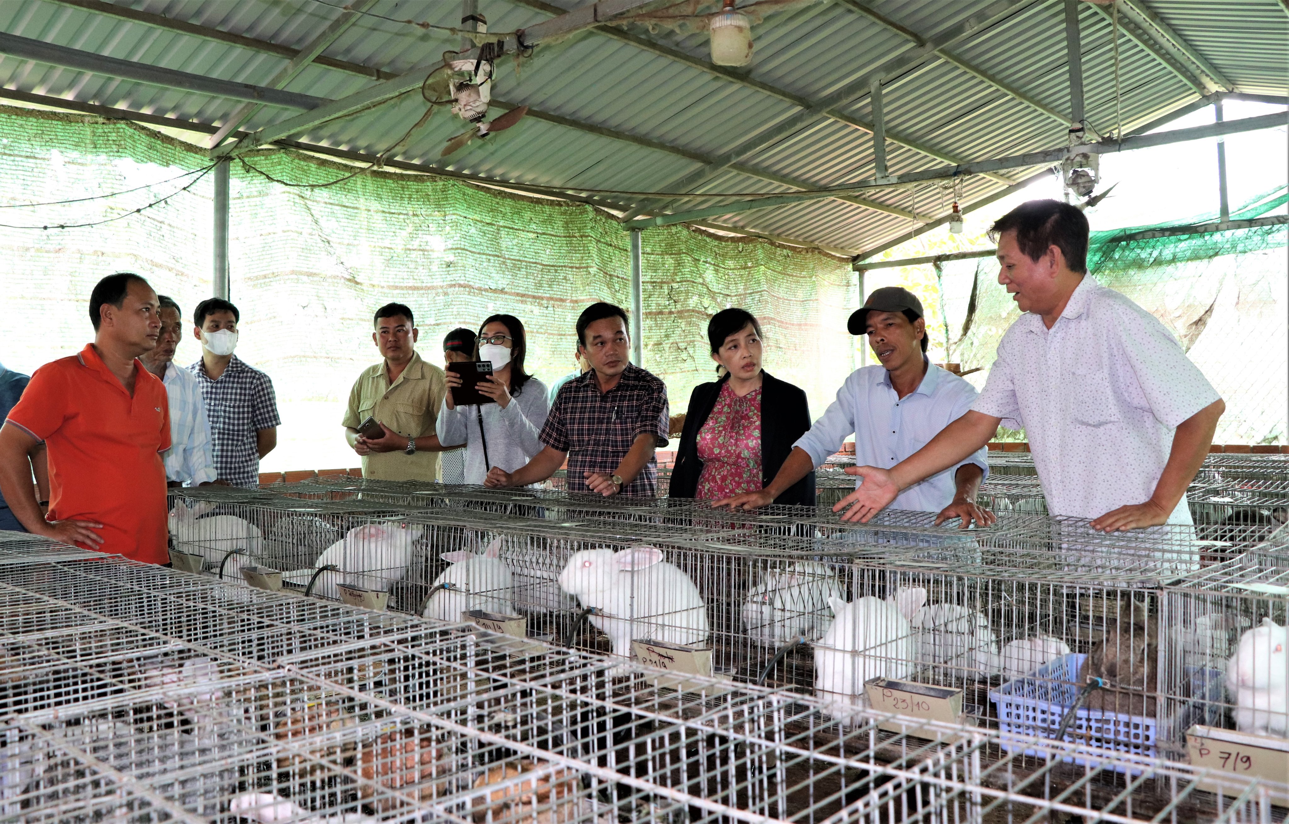 Ông Thân Xuân Động (bìa phải), Phó Chủ tịch Hội Nông dân huyện Châu Đức giới thiệu với đoàn công tác TP. Vị Thanh về kỹ thuật nuôi thỏ thịt và thỏ sinh sản.