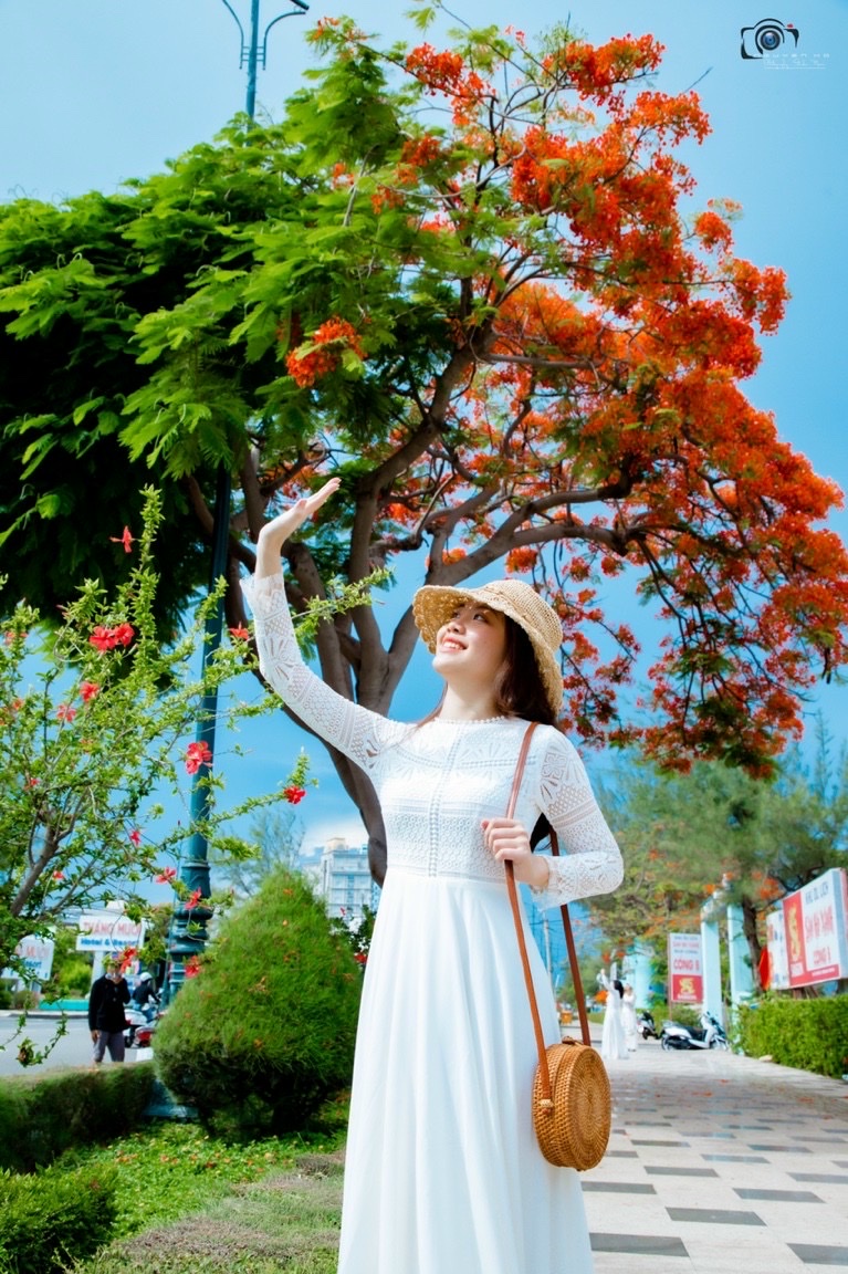 Mùa hoa đỏ. Ảnh: LINH ĐAN