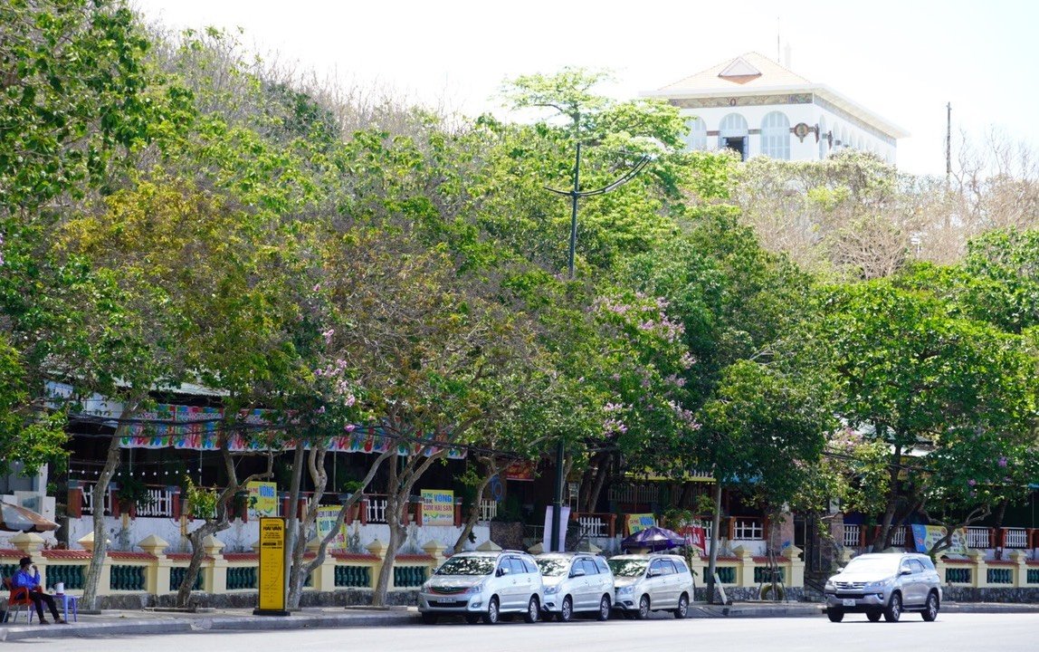 Các quán cà phê kinh doanh buôn bán dưới chân khu di tích Bạch Dinh.