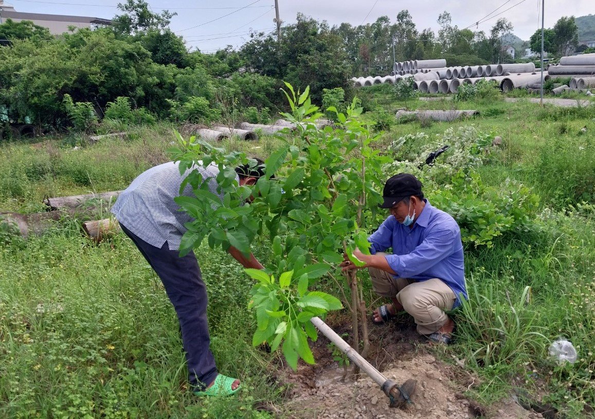 Ra quân trồng cây xanh bảo vệ môi trường tại khu phố Hải Hà 2, TT. Long Hải.