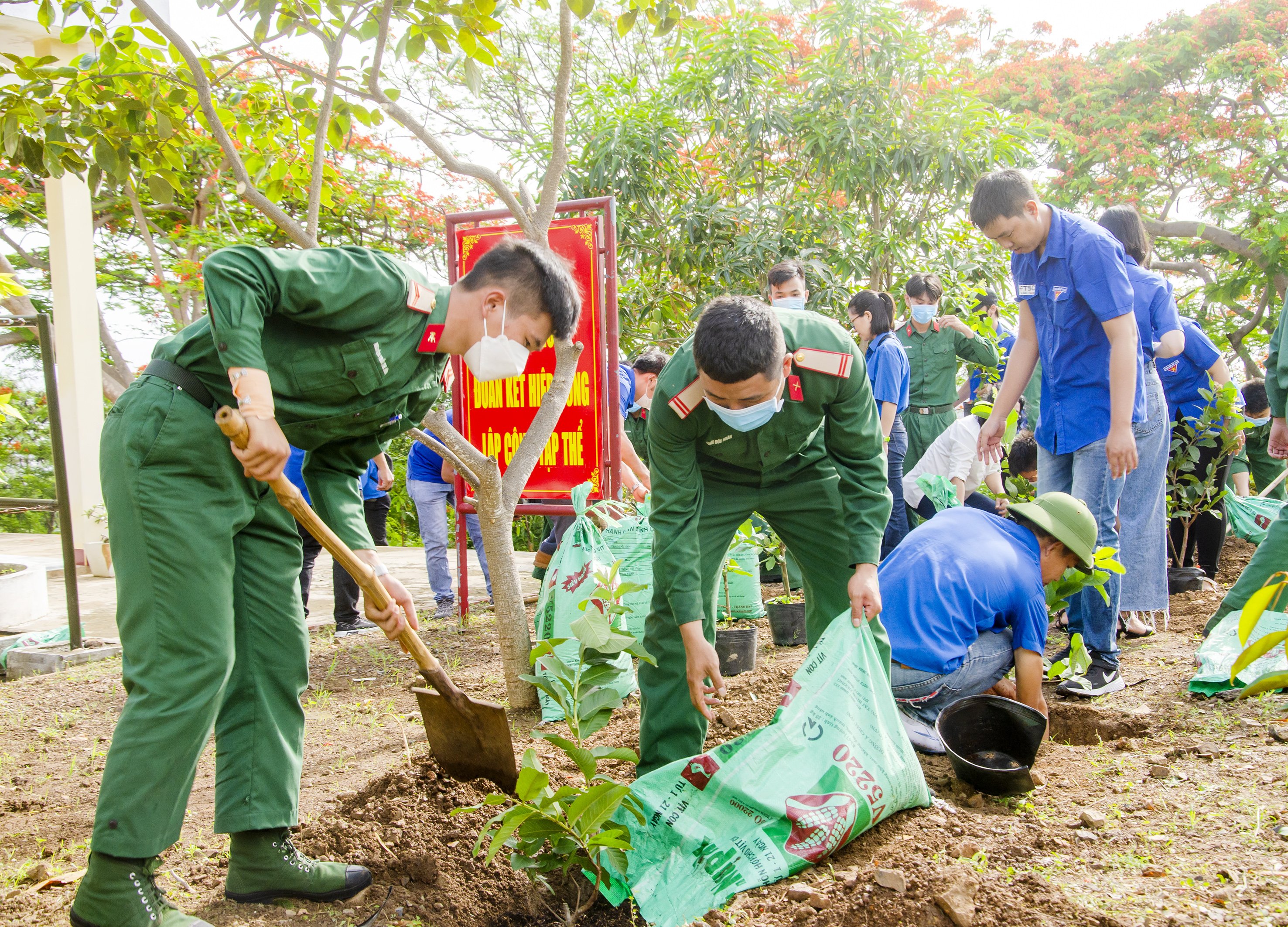 Đoàn viên thanh niên các đơn vị trồng cây trong khuôn viên đơn vị bộ đội C37.