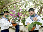 Những bông hoa trên sóng Trường Sa