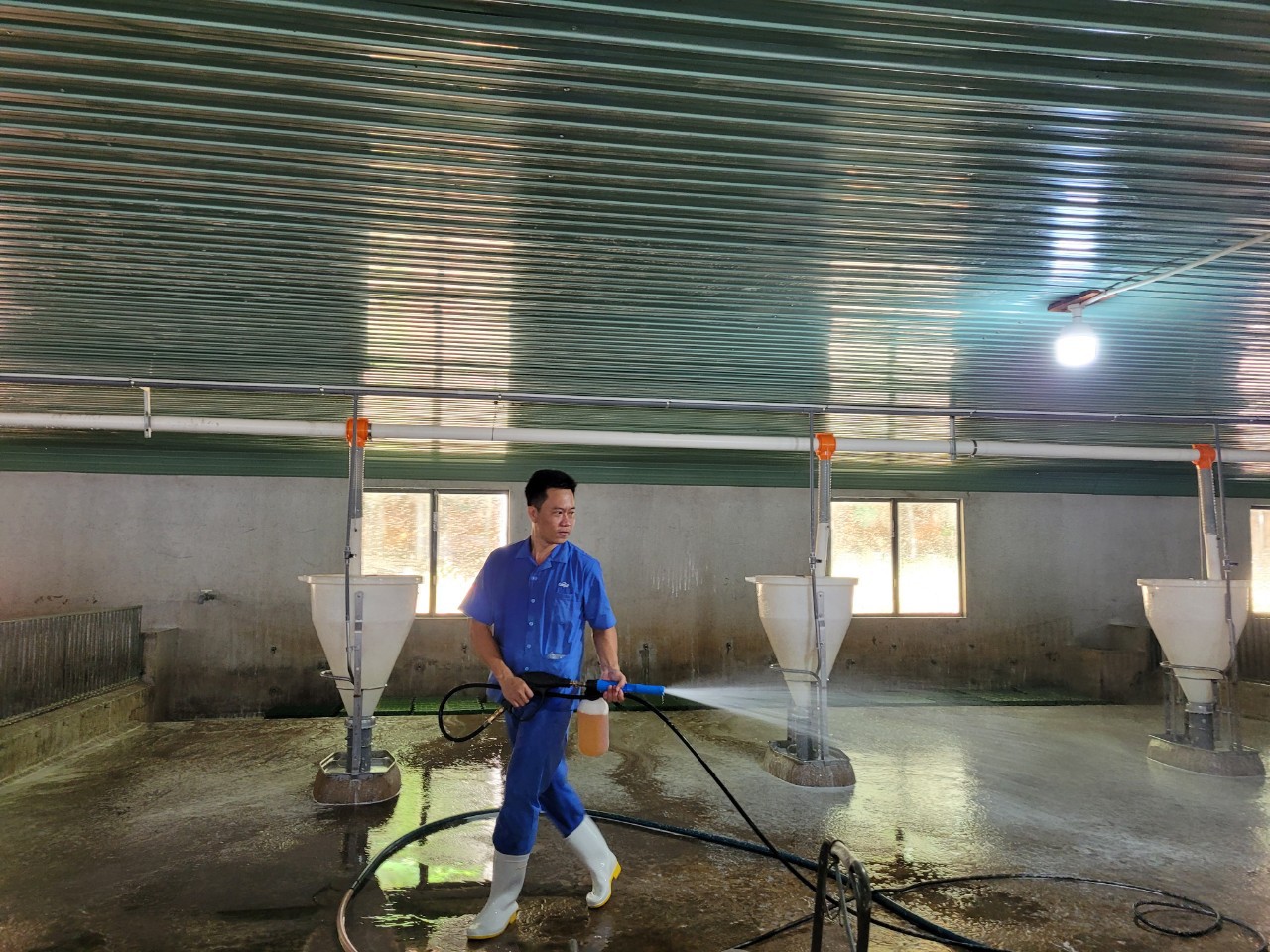 Tỉnh tiếp tục duy trì 6 vùng an toàn dịch bệnh động vật đã được chứng nhận. Trong ảnh: Khử khuẩn trang trại heo tại huyện Đất Đỏ.