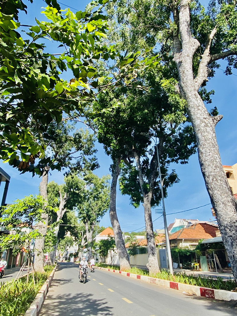 Đường Trương Công Định đoạn từ Ngã 6 Trần Đồng đến tượng đài Trần Hưng Đạo (TP.Vũng Tàu). Ảnh: QUANG VŨ