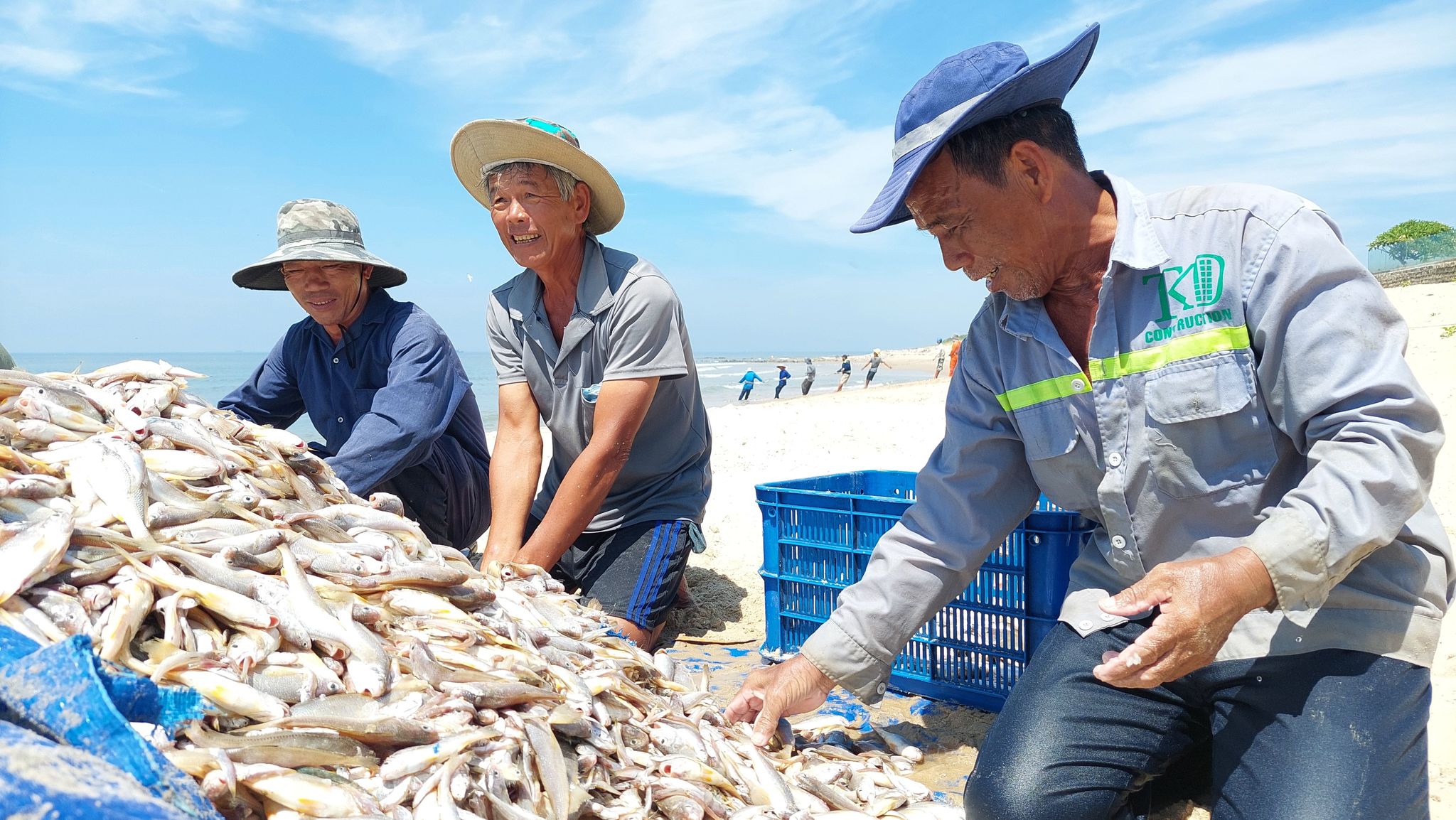 Niềm vui trúng luồng cá đù hơn 4 tấn của ngư dân Phạm Xuân Hoàng (ngồi giữa).