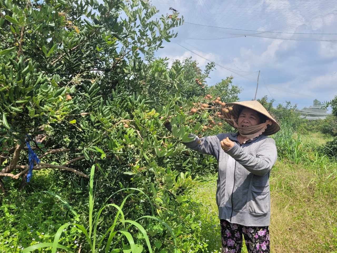 Hơn 880 hộ dân đã lấn chiếm đất rừng khu bảo tồn để trồng cây ăn quả, cây công nghiệp.